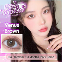 [ Có cận ] Olivia Monrose  - 1 Cặp Lens Mắt kính áp tròng Venus Nâu Không Giãn  ( Tặng khay gương Full dụng cụ đeo )