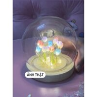 [ Có Làm Sẵn ] Đèn hoa tulip mini nhiều màu sắc
