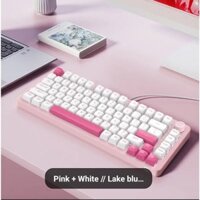 [ Có Sẵn ] Bàn phím cơ có dây HP Wired Mechanical Keyboard Blue Switch 98 - Tặng 1 Switch Outemu Đỏ 2pin