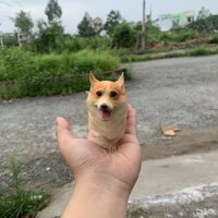 [ CÓ SẴN ] Mô Hình Chó Corgi Màu Vàng Trắng Giống Thật
