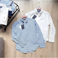 ( Có Sẵn ) Sơ Mi Trắng Thêu Basic Tom.mi 2 Màu Chất Đẹp