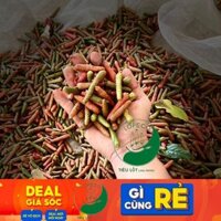 [ Com bo 2kg ] tiêu lốp tươi ( tiêu lốt tươi ) LOPECO trái có đỏ có xanh