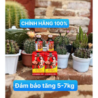 ( Combo 2 lọ ) vitamin tăng cân Wisdom weight nhập khẩu Indonesia loại 1 chính hãng