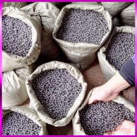 ( combo 5kg) Bi sắt 7mm 1kg giá rẻ Bi sắt ổ trục 6.35mm-7mm-8mm hàng loại 1 bóng đẹp