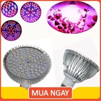 🔰 Đèn led tia UV giúp cây phát triển - AsiaMart88 🔰