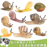 🔥 Đồ chơi giáo dục 🔥 Giáo dục sớm cho trẻ em đồ chơi động vật mới lạ Mô phỏng các mô hình động vật nhỏ có hàng sẵn Mẫu Côn Trùng Thật Nhựa Quà tặng trẻ em ☝Mô Phỏng Ốc Đồ Chơi Mô Hình Côn Trùng Ốc Phù Hợp Với micro Phong Cảnh Cát Trang Trí Bàn Trẻ Em Kh