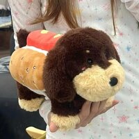 ☆ ★ Đồ chơi nhồi bông dễ thương cho chó Dachshund, búp bê xúc xích, thú nhồi bông, gối hình bánh burger, quà sinh nhật cho bạn trai/bạn gái/3.17