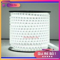 ⚡ FREE SHIP ⚡ Đèn led dây đôi 2835 5M loại tốt ( màu trắng, vàng, hồng, xanh dương, xanh lá ) [ LOẠI TỐT ]