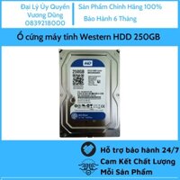 [ Free ship HN-HCM ] Ổ cứng máy tính Western HDD 250GB ( Ổ cứng máy tính 250gb )