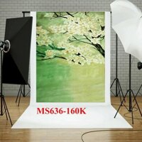 ( FREE SHIP) Phông giấy chụp ảnh