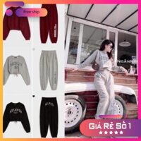 [ FREESHIP -  HÀNG VNXK ] Bán sỉ bộ da cá quần thụng cho nữ