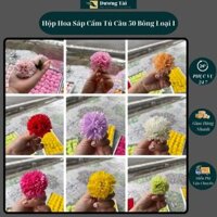 [ FREESHIP ]  Hoa Cẩm Chướng Sáp Thơm ( 1 Hộp 50 Bông)