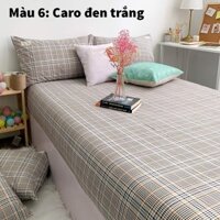 ( ga m8*2m , cao 20 cm) Set 3 món ga giường vỏ gối chất cotton tici màu xanh đẹp ,( ga chun vỏ gối,cotton)