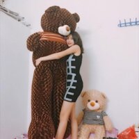 - gấu bông teddy 2m