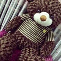 - gấu bông teddy khổ M3