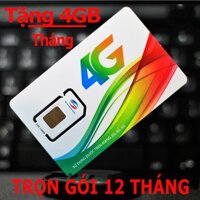 [ GIÁ HỦY DIỆT] Sim 3G 4G Viettel trọn gói 1 năm Tặng ngay 4GB/Tháng