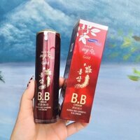 [ Giá Sỉ ] Kem Nền BB Cream Hồng Sâm Đỏ My Gold SPF45 PA++ Hàn Quốc, Tuýp 40ml, Bí Quyết Dưỡng Da Của Bạn