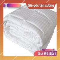 🔰 GIÁ SỈ 🔰 Ruột chăn hè cotton hàn quốc ( size: 1m6/m8/2m2 )