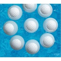 [ GIÁ SỐC ] 10 Quả bóng golf nổi [ VIP GOLF ]