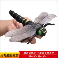 🔥 Giáo dục sớm cho trẻ em 🔥 Mẫu Côn Trùng Thật Nhựa đồ chơi động vật mới lạ Mô phỏng các mô hình động vật nhỏ Quà tặng trẻ em Đồ chơi giáo dục có hàng sẵn ✵Mô phỏng côn trùng mô hình chuồn chuồn đồ chơi lớn trẻ em khoa học giáo dục giáo dục xếp hình mẫu