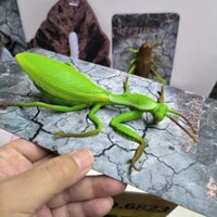 🔥 Giáo dục sớm cho trẻ em 🔥 Mô phỏng các mô hình động vật nhỏ Đồ chơi giáo dục Quà tặng trẻ em Mẫu Côn Trùng Thật Nhựa đồ chơi động vật mới lạ có hàng sẵn ✍Xanh Bưởi Mô Phỏng Mantis Mềm Lừa Giả Centipede Đáng Sợ Côn Trùng Động Vật Nhỏ Mô Hình Nhện Đồ Ch