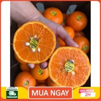 [ GIAO HỎA TỐC HCM ] [ JENNY FRUIT ] Set 1 kg Quýt Úc ngon ngọt