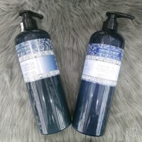 ( Hàng chính hãng ) Bộ dầu gội xả cho tóc khô hư tổn Hischer