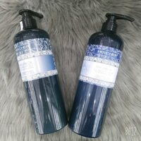 ( Hàng chính hãng ) Bộ dầu gội xả cho tóc khô hư tổn Hischer