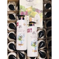 [ HÀNG CHÍNH HÃNG]- Dầu cặp gội xả Bưởi bồ Kết