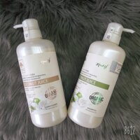 ( Hàng chính hãng ) Dầu gội hương dừa chống gàu, rụng tóc, kích mọc tóc Kendy 800ml