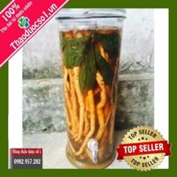 [ Hàng Cty Thảo dược số 1] Sâm Xuyên Đá - Loài cây có lượng Saponin cao hơn cả sâm Triều Tiên 500gram TM166 TD1