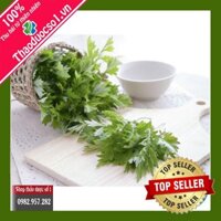 [ Hàng Cty Thảo dược số 1] Ngải cứu sây khô 1KG