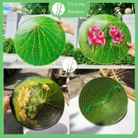 ( Hàng đẹp) Nón lá sen xanh trơn, nón lá sen vẽ họa tiết, nón lá sen kết hợp thêu đã qua xử lý đường kính 40cm
