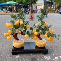 ( HÀNG KIỂM ĐỊNH) Cây Hồ Lô Tài Lộc