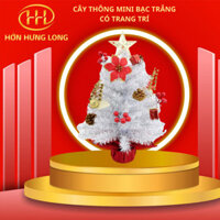 [ Hàng loại 1 ] Cây thông Noel mini trắng bạc kích thước 40cm và 60cm có trang trí như hình ( không kèm chậu )
