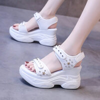 [ Hàng order ] Sandal đế xuồng 8,5cm