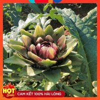 [ Hàng Xịn ] Bông atiso Sapa khô  500g