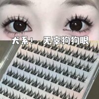 🔥 hiệu ứng mắt to hơn 🔥 mi giả có keo sẵn Mô phỏng tự nhiên mi giả tặng keo có hàng sẵn mi tự dính mi không cần keo mi giả keo sẵn kiểu lông mi giả tự dính không cần keo ❋Không Keo 100 Cụm Lông Mi Canine ~ Lười Sữa Nhỏ Chó Hoạt Hình Lông Mi Giả Siêu Nhi