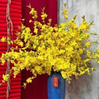 [ Hoa mai giả] hoa mai chất đẹp như thật