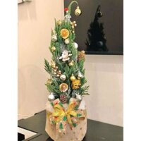 [ HOẢ TỐC] CÂY TÙNG THƠM NOEL THÔ Kèm Gòn Giả Tuyết +Dây Đèn+ 1 Nơ (size L 80-90cm) _  CÂY THÔNG TÙNG mini