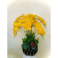 [ Hoả tốc - Hình thật ]Chậu 8 cành hoa lan hồ điệp cao su để bàn