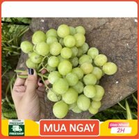 [ HỎA TỐC ] NHO XANH Úc DÒN NGỌT 1KG