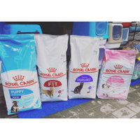 [ 🔥 Hoả tốc ] Thức ăn cho mèo Royal Canin Kitten, Fit32, Indoor túi 10kg chính hãng