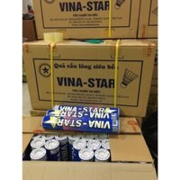 ℘ Hộp cầu lông Vina - star số 50 ℘