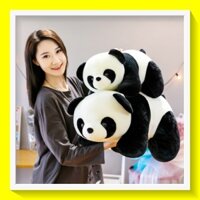 [ Hot- Qùa Tặng Valentine ] Gấu Bông Con Gấu Trúc Nhồi Bông Cực Đáng Yêu Với Nhiều Kích Thước Tùy Chọn - K11