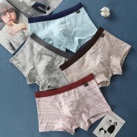 [ HOT SALE ] Hộp 4 quần lót nam boxer cotton cao cấp - quan lot dui nam