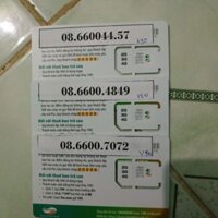 [ Hot số siêu đẹp] Sim VIETTEL 10 SỐ GÓI V90