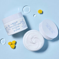 (𝗚𝗼̂́𝗰 𝟱𝟳𝟱𝗸) Kem dưỡng ẩm thuần chay làm dịu & phục hồi da Jayjun Began Tansy Moisturizing Cream