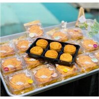 [ M530 ] 100 hộp nhựa 6 ngăn tròn trong suốt - Kích thước mỗi ngăn 6 x 6 cm