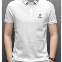 [ Mã APMDN Giảm Ngay 50K Cho Đơn Hàng 499 ]  ÁO POLO LEISURE CHẤT LIỆU COTTON QUẢNG CHÂU CAO CẤP